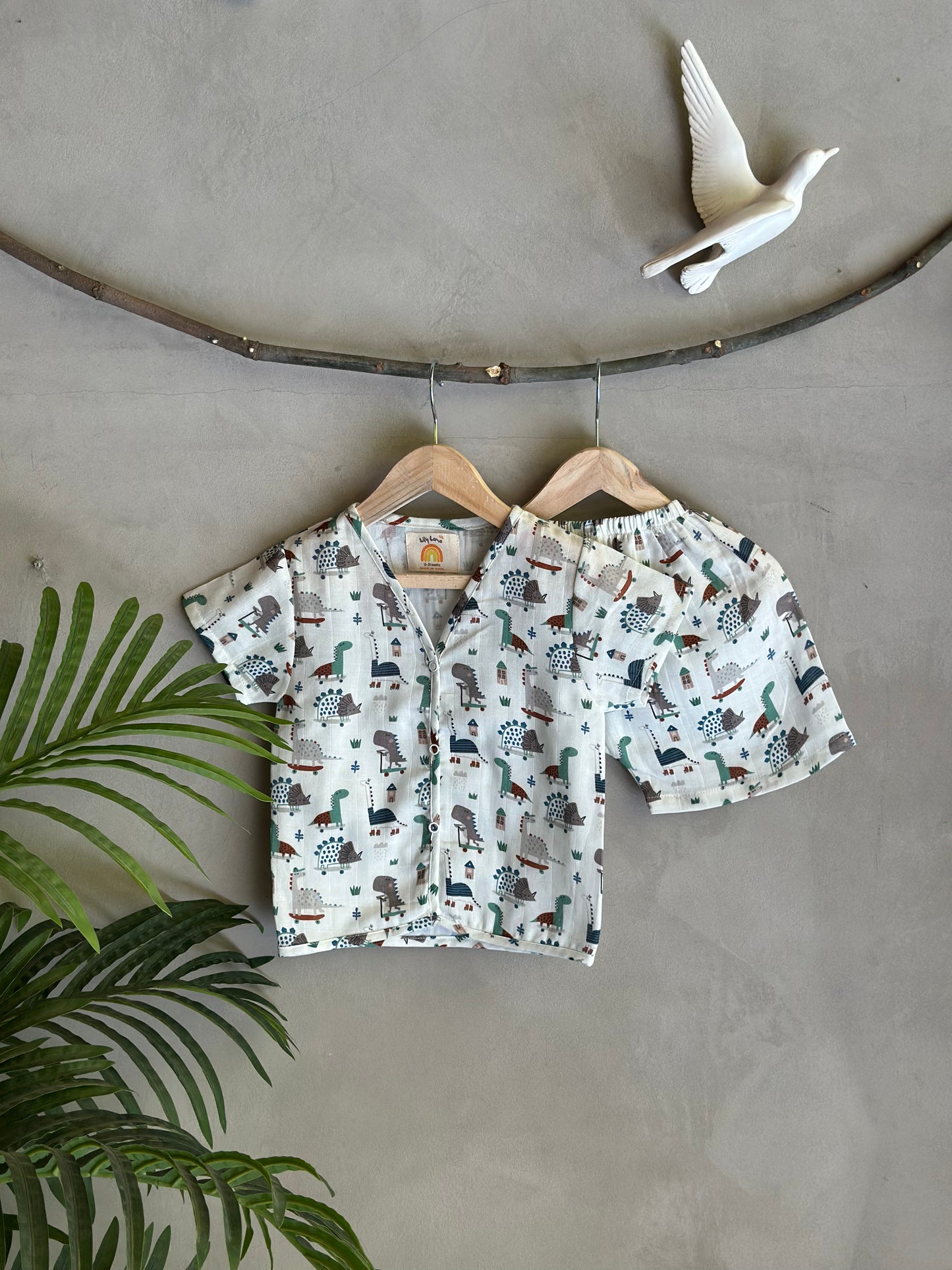 Jurassic Dreams Coord Set